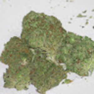 Meet your Posher, Jorge